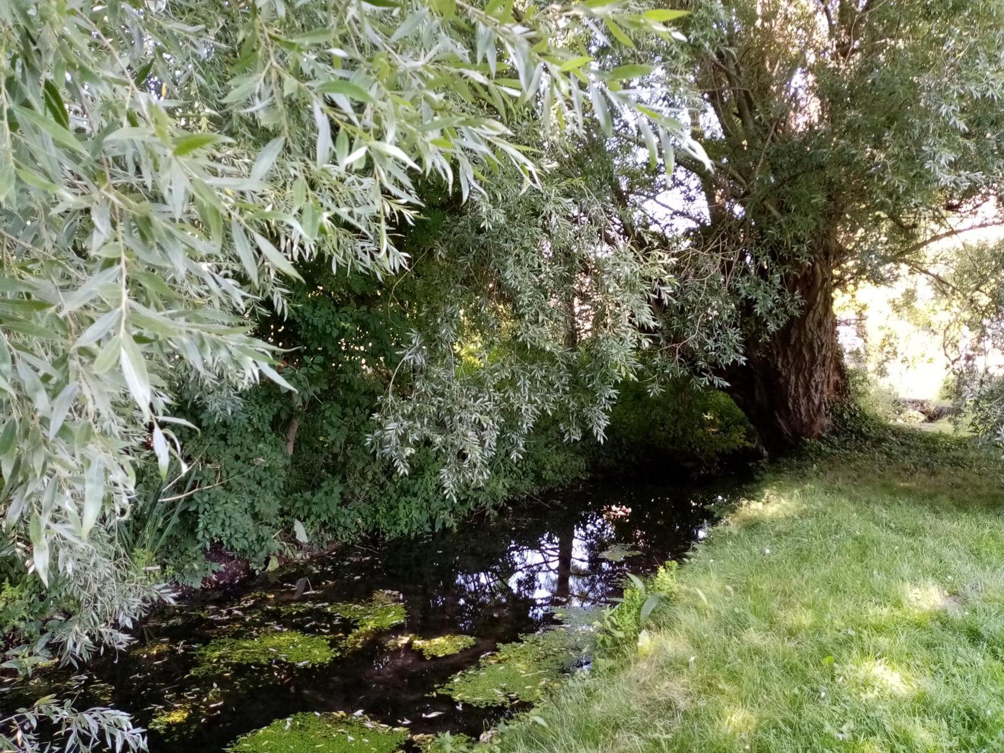 Moulin De Giboudet Chambres D'Hotes Bazainville Bagian luar foto